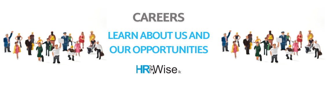 HR Wise Careers Page Header